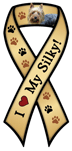 Silky Terrier thumbnail