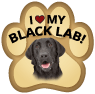 Lab (Black) thumbnail