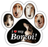 Borzoi thumbnail