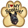 Scottie thumbnail