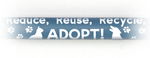 reduce, reuse, recycle, ADOPT! thumbnail