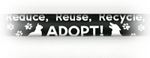 reduce, reuse, recycle, ADOPT!  thumbnail