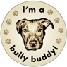 I'm a Bully Buddy! thumbnail