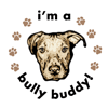 I'm a Bully Buddy! thumbnail