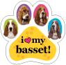Basset Hound thumbnail