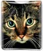Cat Face thumbnail