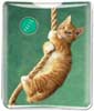 Cat Swinging on Rope thumbnail