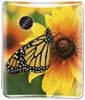 Butterfly thumbnail