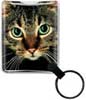 Cat thumbnail