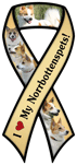 Norrbottenspets thumbnail
