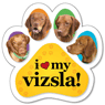 Vizsla thumbnail