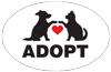 ADOPT thumbnail