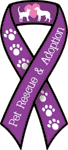 Pet Rescue & Adoption thumbnail