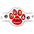 Spay & Neuter thumbnail