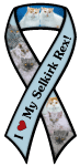 Selkirk Rex thumbnail