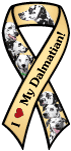 Dalmatian thumbnail