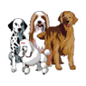 Dogs thumbnail