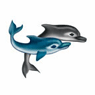 Dolphins thumbnail