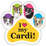 Cardigan thumbnail