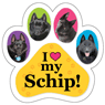 Schip thumbnail
