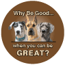 Great Dane thumbnail
