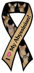 Abyssinian thumbnail