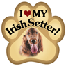 Irish Setter thumbnail