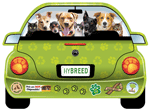 HyBREED Car thumbnail
