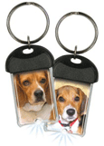 Beagle thumbnail