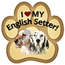 English Setter thumbnail