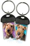 Airedale thumbnail