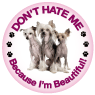 Don't Hate Me...Chinese Crested thumbnail
