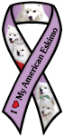 American Eskimo thumbnail