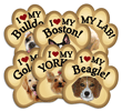 Large Paw Magnets Starter Pack thumbnail