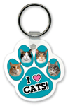 Cats thumbnail