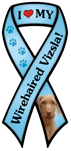 Wirehaired Vizsla thumbnail