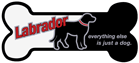 Labrador - everything else is just a dog thumbnail