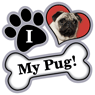 Pug thumbnail
