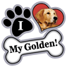 Golden thumbnail