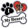Boxer thumbnail
