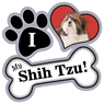 Shih Tzu thumbnail