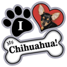 Chihuahua thumbnail