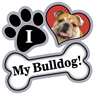Bulldog thumbnail
