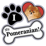 Pomeranian thumbnail