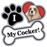Cocker Spaniel thumbnail