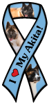 Akita thumbnail