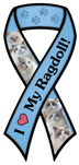 Ragdoll thumbnail