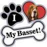 Basset thumbnail