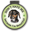 Don't Hate Me... Dachshund thumbnail