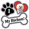 Bichon thumbnail